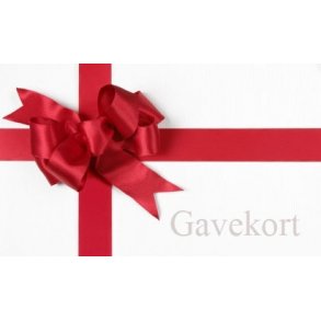 Gavekort til Racing4Fun 2026